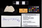 Foto (Objekt + Etikett) von Mesoparapylocheles sp.  (NHMW-GEO-2017-0093-0007)
